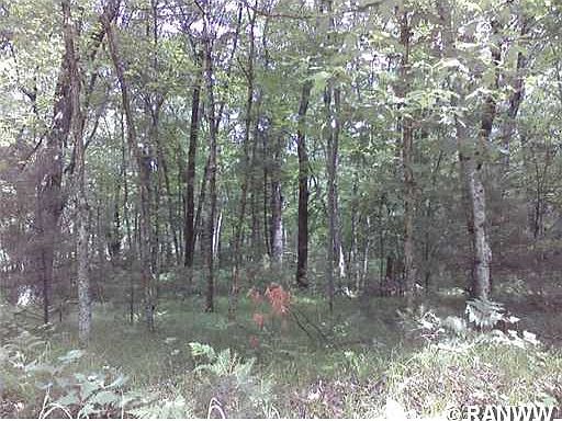 2nd image of 0 W Clay School Road