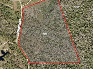 855 Alligator Ranch Rd, New Smyrna Beach, FL 32168