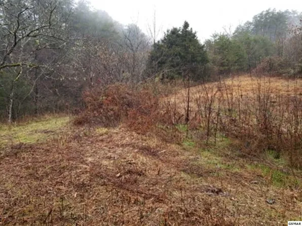 1420 Campbell Hollow Rd, Sevierville, TN 37876