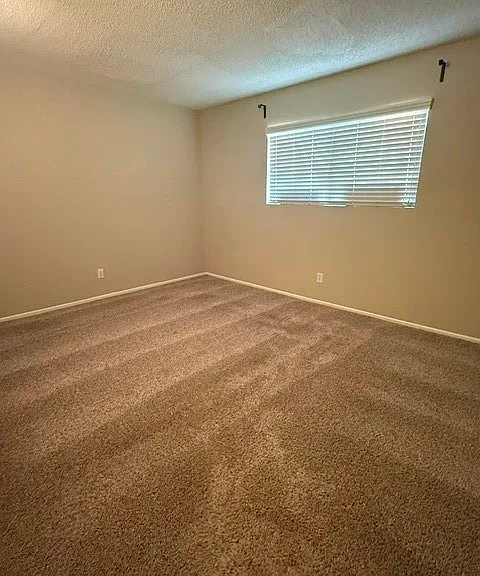 10967 Rincon St — Photo 5