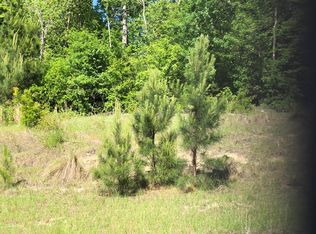 3917 Carolyn St, Augusta, GA 30909