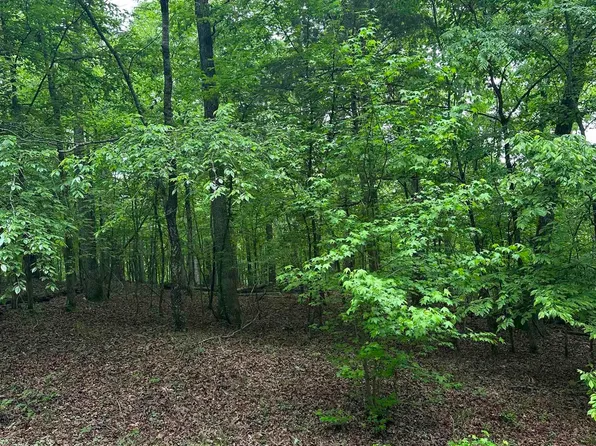 2 Vestonero Way, Hot Springs Village, AR 71909