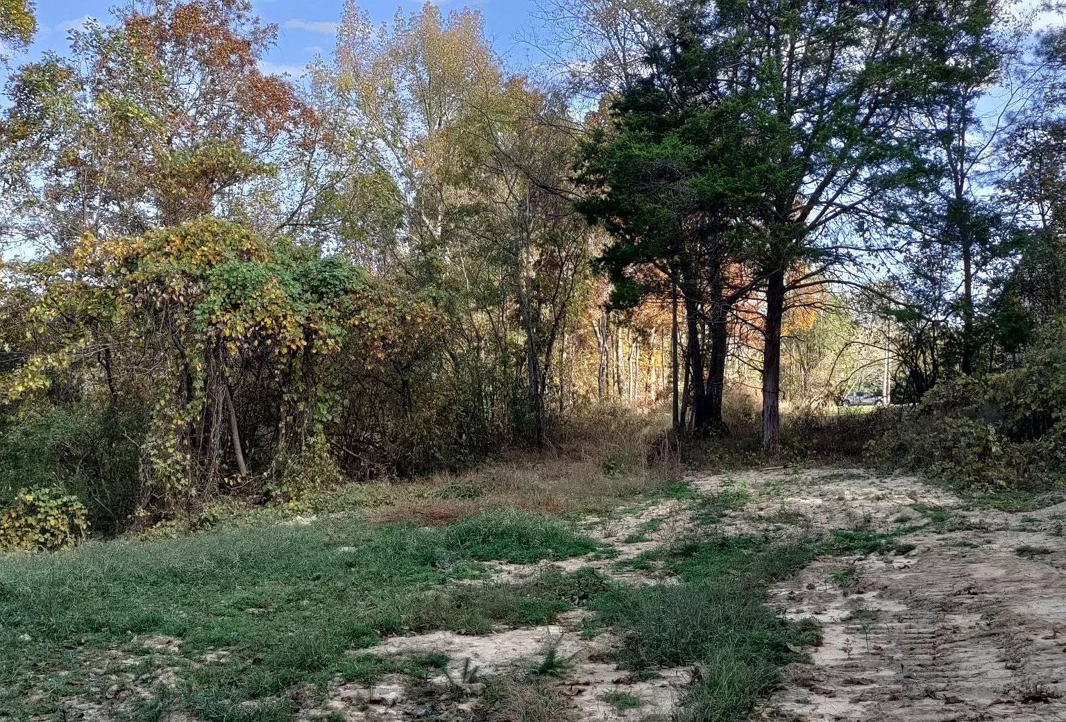1 Highway 67, Somerville, AL 35670 MLS 21847418 Zillow