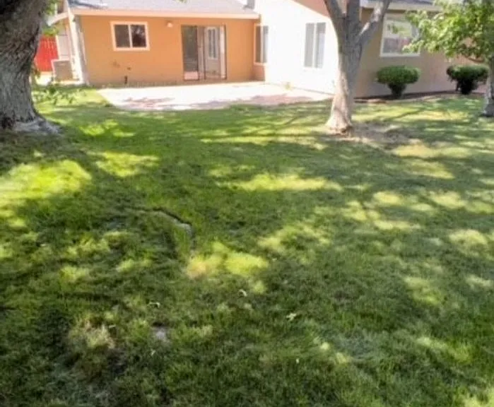 1272 El Rancho Dr — Photo 11