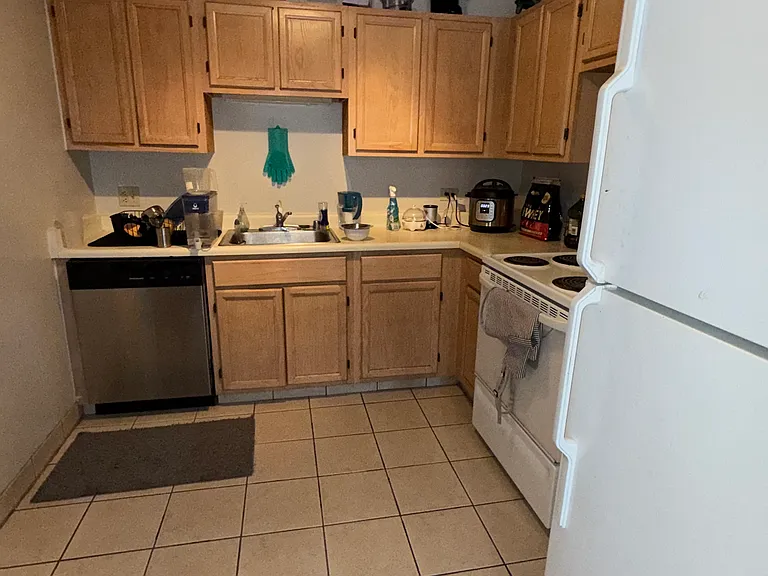 200 N Dearborn St #3204 — Photo 7