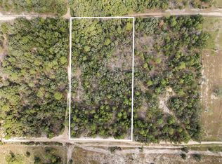 0 NE 75th St, Bronson, FL 32621