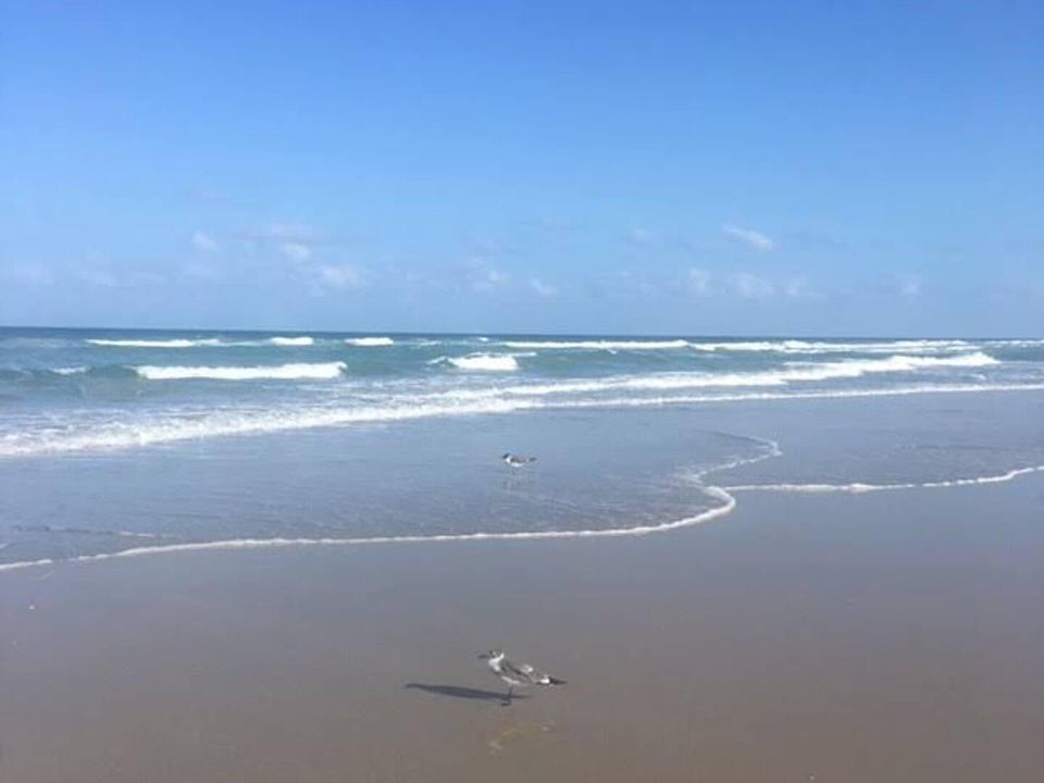 BUILDING IS DIRECTLY ON OCEAN