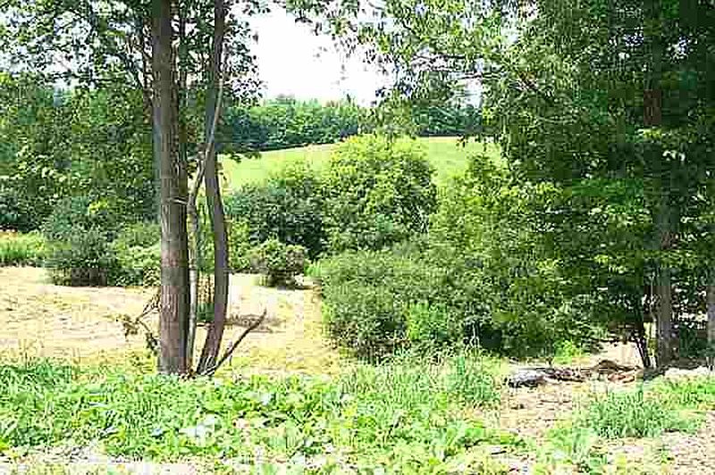 5th image of 00 CALLAWAY Road