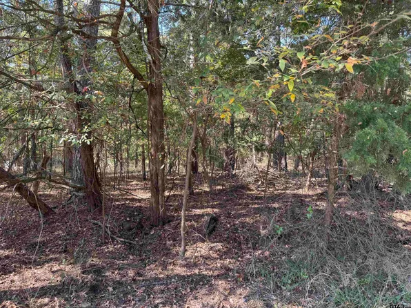 69 King Lake Dr, Scroggins, TX 75480