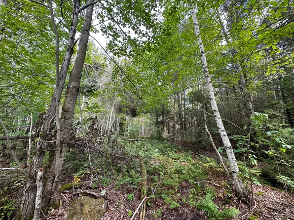 0 Sweet Road, Lincoln, ME 04457