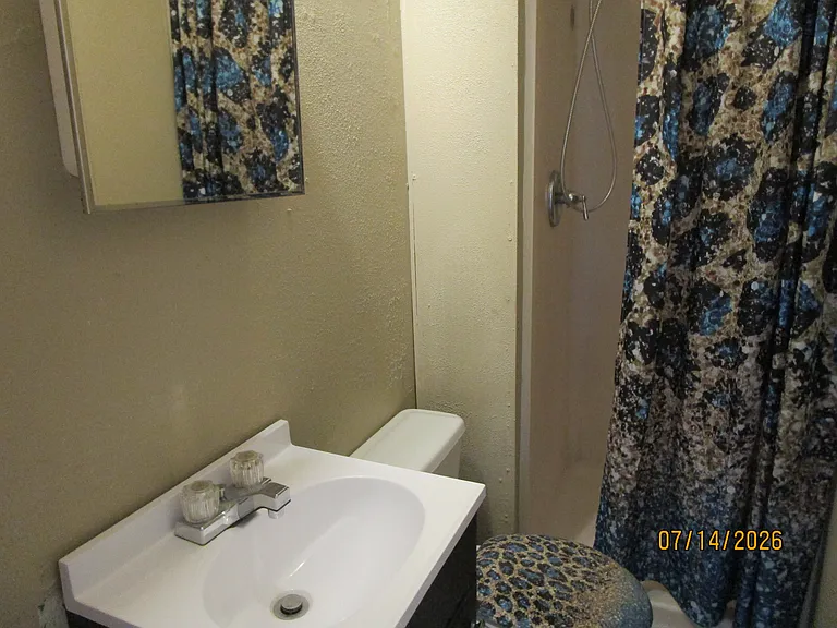 607 W Wilson St #5 — Photo 6