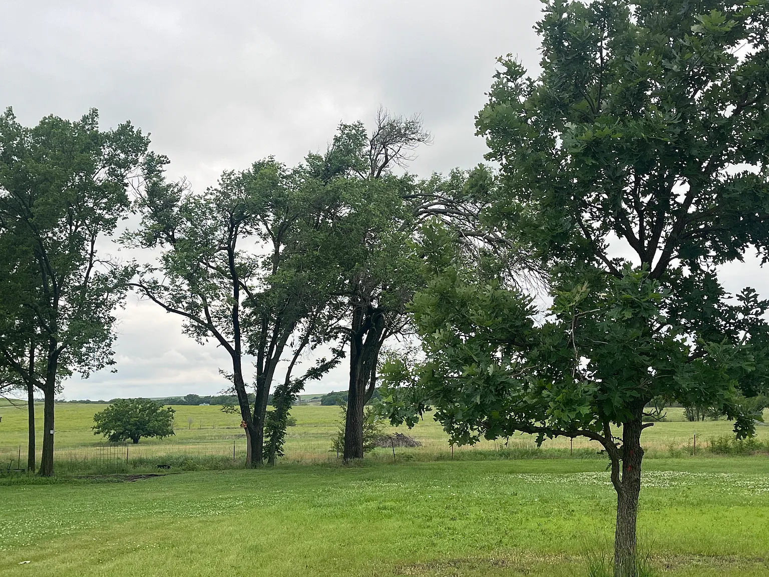 2 bed, 660 sqft, $950 — Photo 3