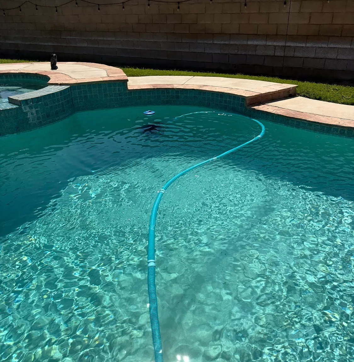 4 bed, 2492 sqft, $4,450 — Photo 4