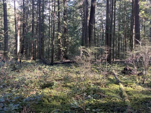 Chinquapin Dr, Rhododendron, OR 97049