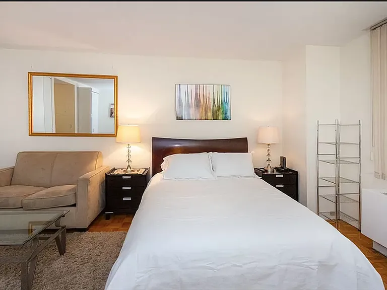 350 W 50th St #4X — Photo 9