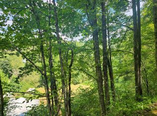 166 Brown Rd, Wallace, WV 26448