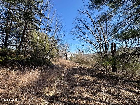 5th image of 118 Old Maynardville Hwy W