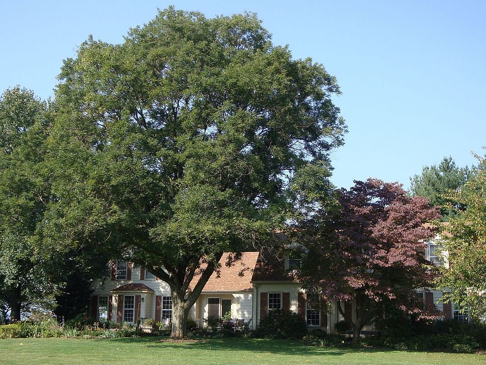 Front view of home
