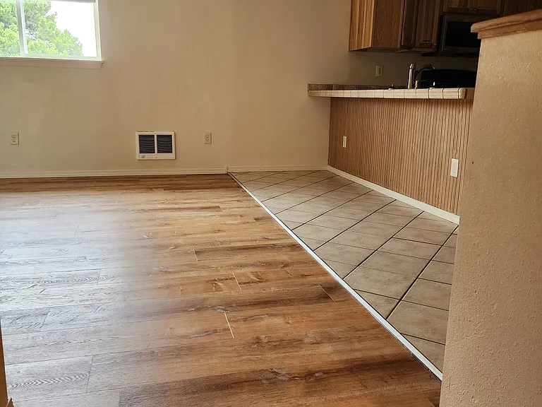 1007 W Cushing St — Photo 12