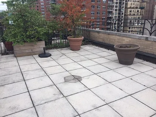 Rented by Punia & Marx Inc. | media 5