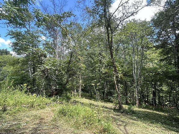 2nd image of 0 Boston Theta Rd
