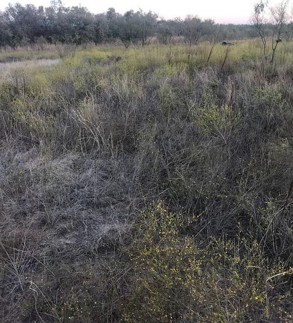 1st image of 9187 Highway 87 Acres #12.840