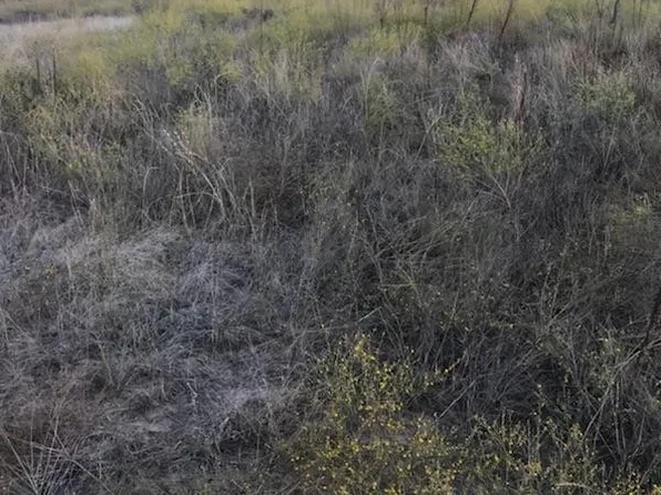 9187 Highway 87 Acres #12.840, San Angelo, TX 76901