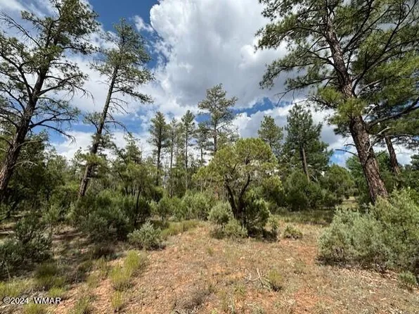 2140 W Whispering Pine Ln, Show Low, AZ 85901
