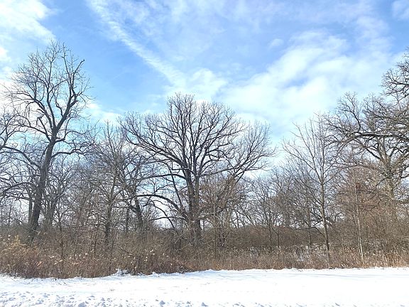 2nd image of 11398 Brighton Oaks Dr Lot 13