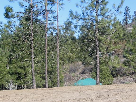 3rd image of 39555 Peach Orchard Way N