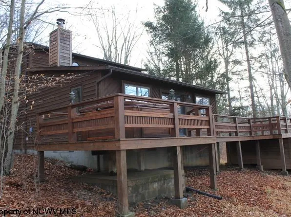 272 Cabin Mountain Rd, Davis, WV 26260