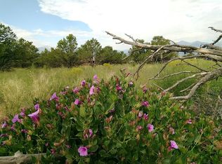Pinon Hls LOT 159, Salida, CO 81201
