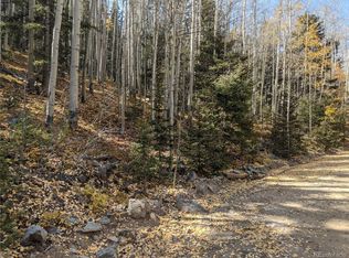 6751 Onderdonk Rd, Fort Garland, CO 81133