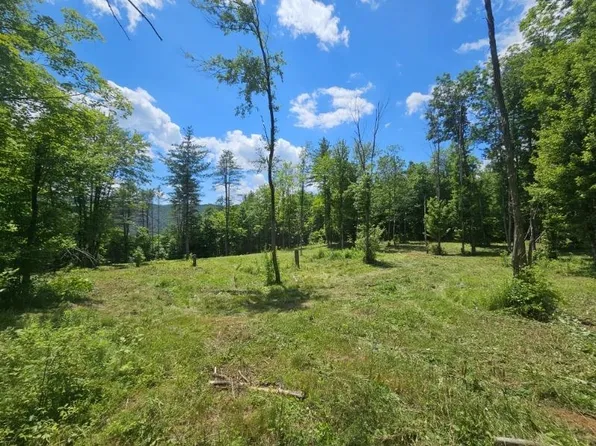 12 Sugar Lot Lane, Jamaica, VT 05343