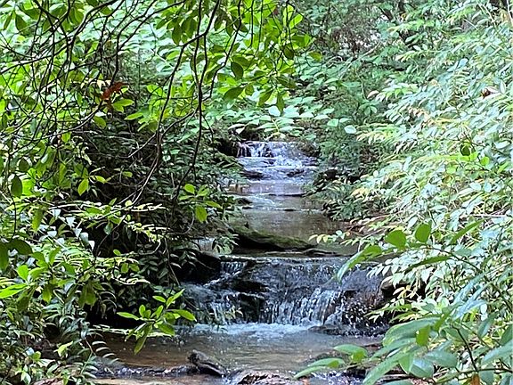 2nd image of 0 Saluda Lake Rd