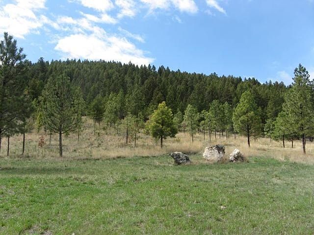 1st image of 1059 Highway 282 Tract #12A