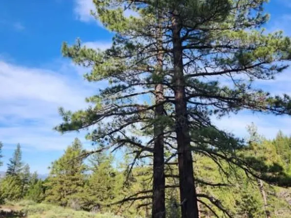 Cheney Creek Rd, Susanville, CA 96130