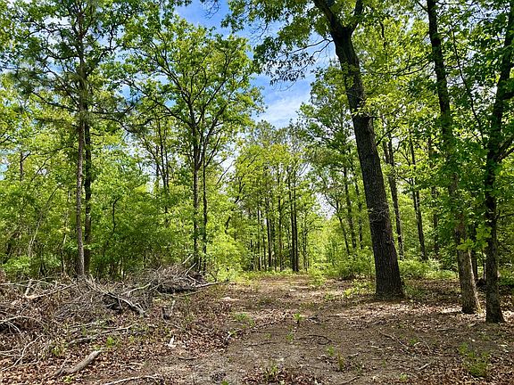 2nd image of 284 Buckboard Rd