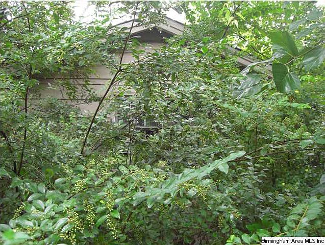 2nd image of 204 Andrews Ave