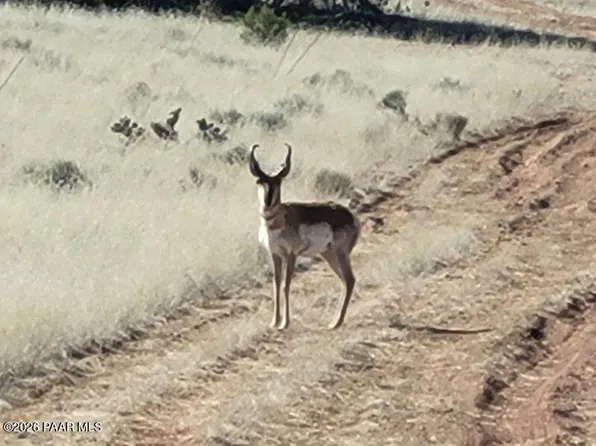 LOT 293 N Flaming Star Dr, Seligman, AZ 86337