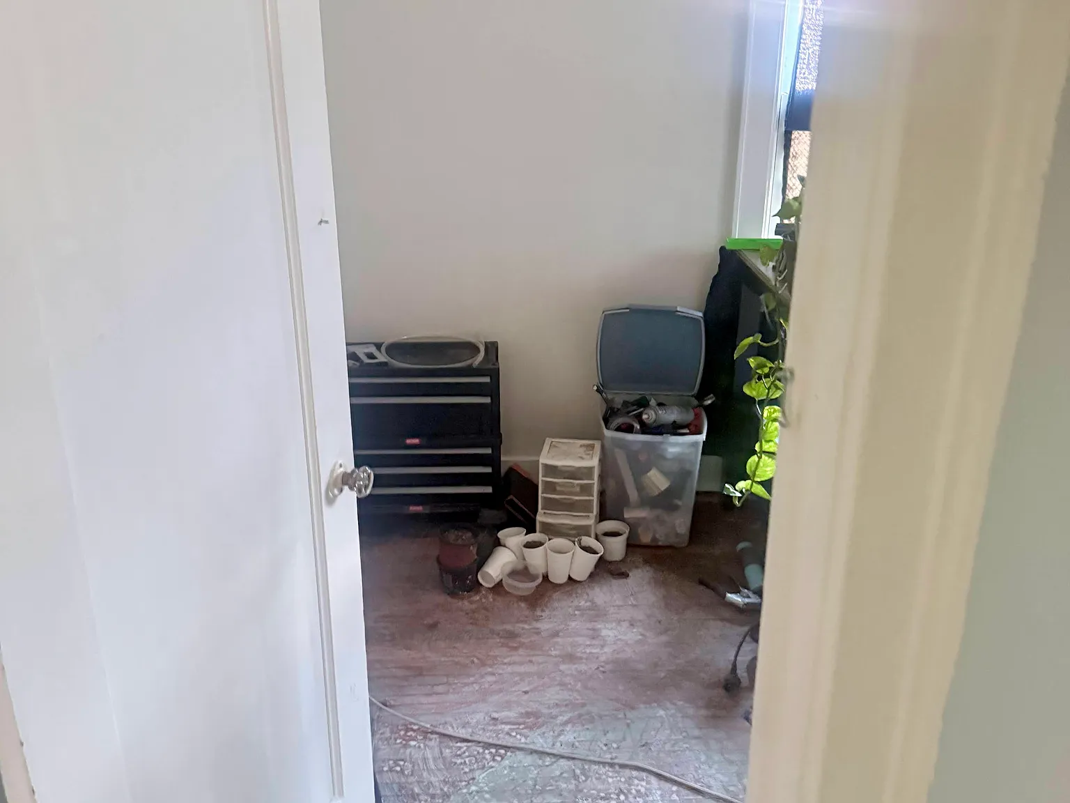 2 bed, $895 — Photo 3