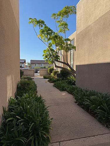 Large 2 bedroom Apartment in Clairemont Photo 1