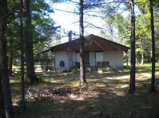 22380 Hoxeyville Rd, Wellston, MI 49689