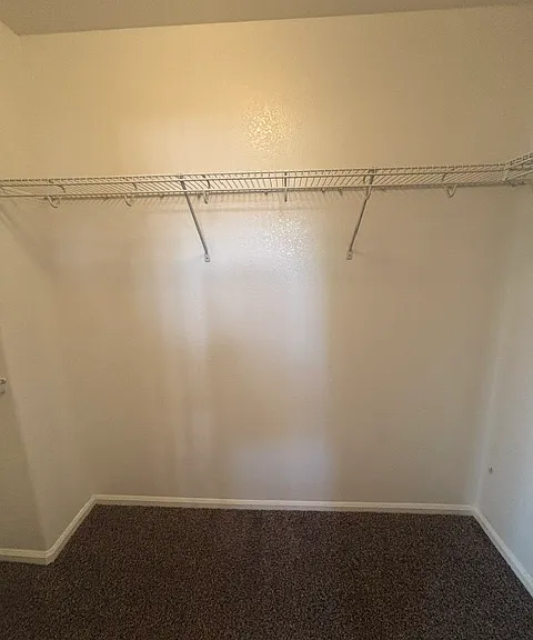 Master walk in closet
