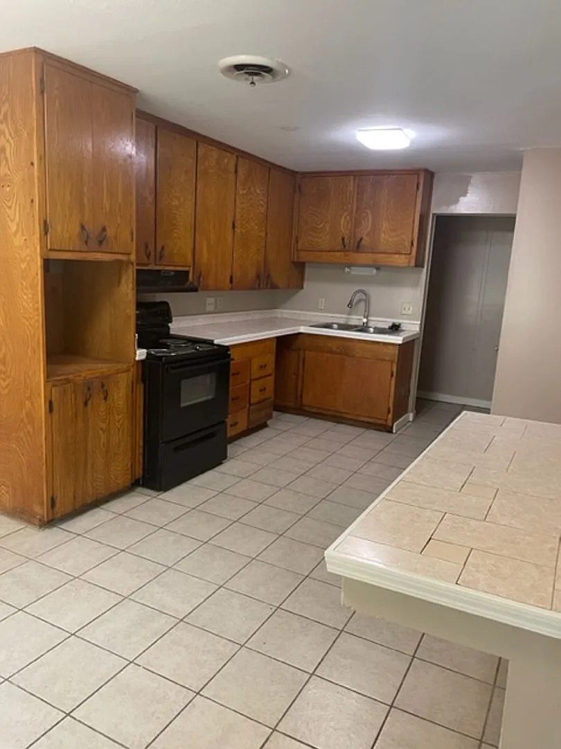 411 Lindenwood Drive — Photo 2