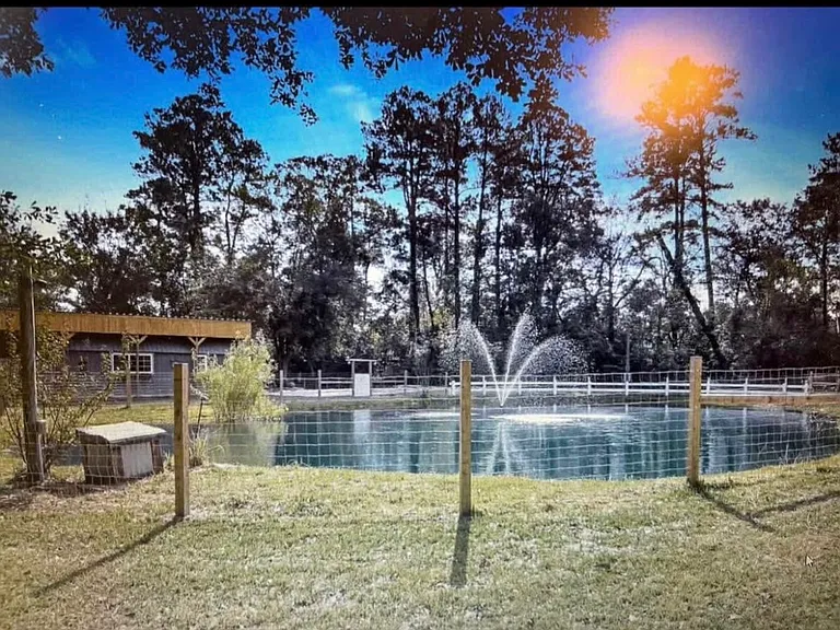 11500 Lost Quail Ct — Photo 1