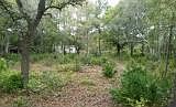 2nd image of Winterberry Ave