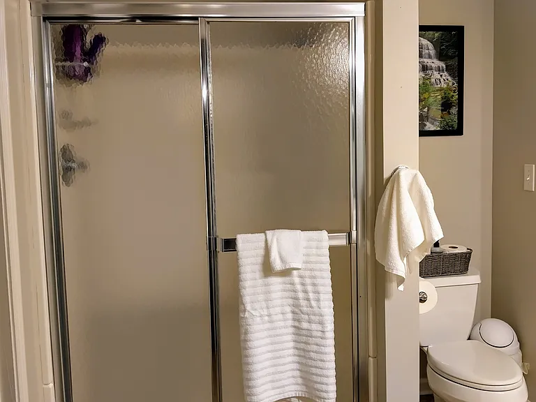 The primary bathroom features a shower stall.