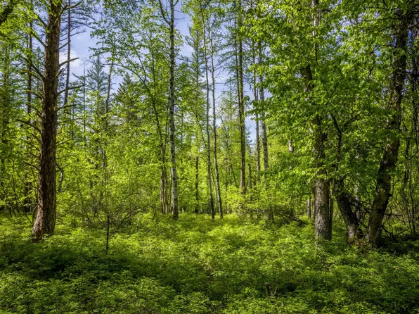 560 Ranch Rd, Bigfork, MT 59911