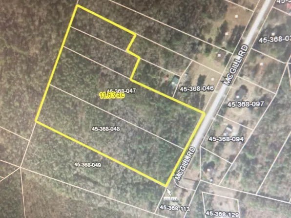 1 McGill Rd., Hemingway, SC 29554
